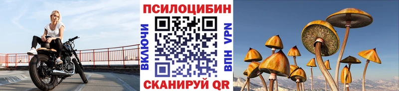 наркошоп  Ковдор  Галлюциногенные грибы MAGIC MUSHROOMS 